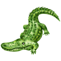 Aquarell Krokodil ClipArt png