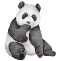 watercolor panda clip art png