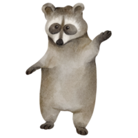 watercolor raccoon clip art png