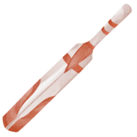 Aquarell Kricket Schläger png