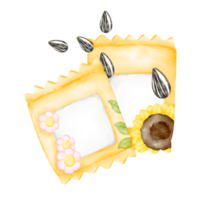 watercolor sunflower seeds png