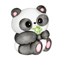 clipart de panda em aquarela png