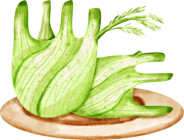 erva-doce aquarela vegetal png