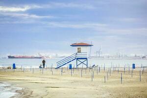 Seagulls on the beach photo