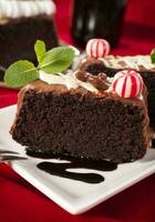 Delicious chocolate cake with mint photo