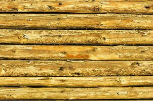 Wooden texture background photo