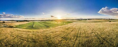 Aerial view of fields photo