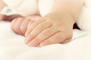 Little baby hand photo