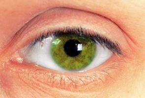 verde ojo concepto foto
