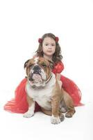 English bulldog with kid photo