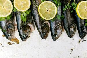 Fresh fish on the market photo