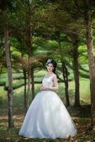 pretty girl in wedding dress photo