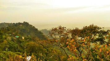 A view of the mountains from the top of the hill photo