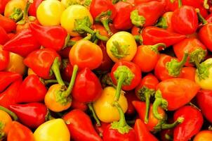 Red and yellow paprika photo