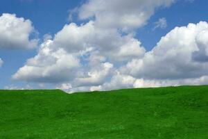 Green field landscape photo