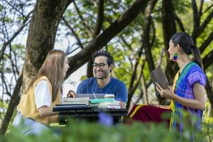 un grupo de estudiantes universitarios se reúne y trabaja en una tesis y un proyecto afuera en el jardín del campus universitario durante el verano foto