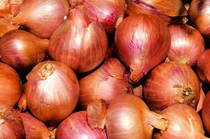 Onions bulp background photo