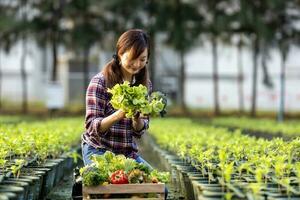 la agricultora asiática lleva la bandeja de madera llena de verduras orgánicas recién recogidas en su jardín para la temporada de cosecha y el concepto de alimentación saludable foto
