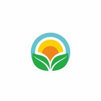 leaf and sun logo design, agricultural or plantation product logo vector