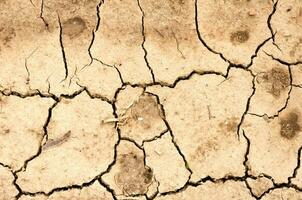 sequía suelo antecedentes foto