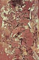 Rusted iron background photo