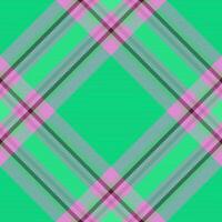 Check background tartan. Fabric texture plaid. Seamless textile pattern vector. vector
