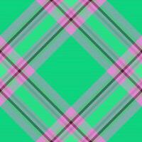 Check background tartan. Fabric texture plaid. Seamless textile pattern vector. vector