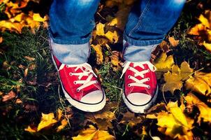 rojo Zapatos en amarillo hojas foto