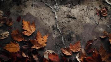 texture background Abstract colorful watercolor for background Digital art painting Texture paper photo