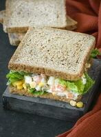 Veggie sandwich dish photo