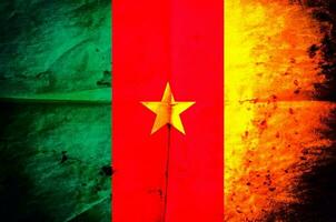 Cameroon flag background photo