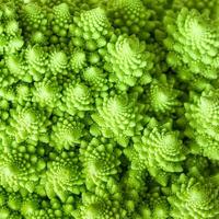 Green vegetables. Detail of Romanesque cauliflower. Healthy food concept. photo