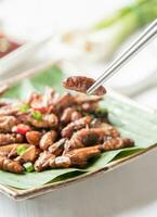 fried larva on chopsticks, edible insect eating photo