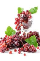Champagne Grapes in wine glass isolated photo