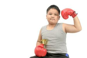 obese boxer show trophy isolated on white photo