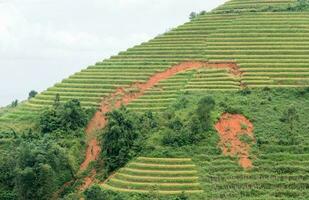 Land slide or erosion on rice terrace in Sapa photo