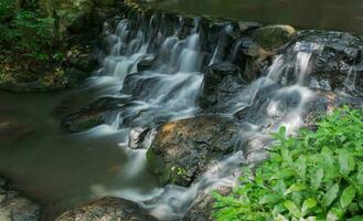 waterfall in the evergreen forest, Sam lan waterfall, photo