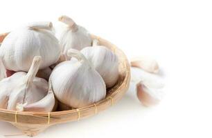 white garlic isolated on white background photo