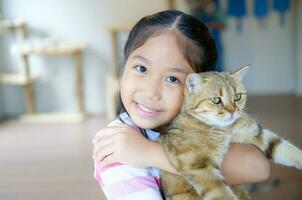 Cute girl hug and play scottish fold cat photo