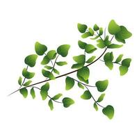 Green Leaves Branch Over White Background. vector