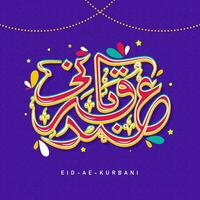 Colorful Eid E Qurbani Calligraphy In Arabic Language With Arc Drops And Stars On Violet Background. vector