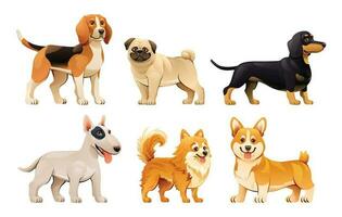 Collection of different dog breeds vector illustration