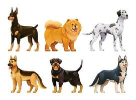 conjunto de diferentes razas de perros en estilo de dibujos animados vector