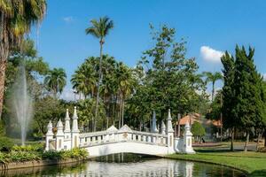 Nong Buak Haad Public Park in Chiang Mai photo