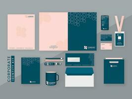 Blue And Pink Color Corporate Identity Kits Presentation Against Gray Background For Company. vector