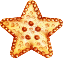 aquarelle étoile de mer océan png