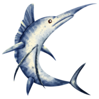 Aquarell Schwertfisch Meer Tier png