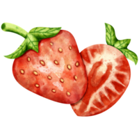 clipart de morango em aquarela png