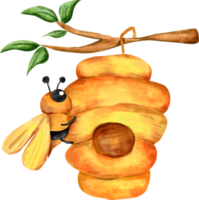 acuarela abeja colmena png
