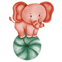 clipart de elefante em aquarela png